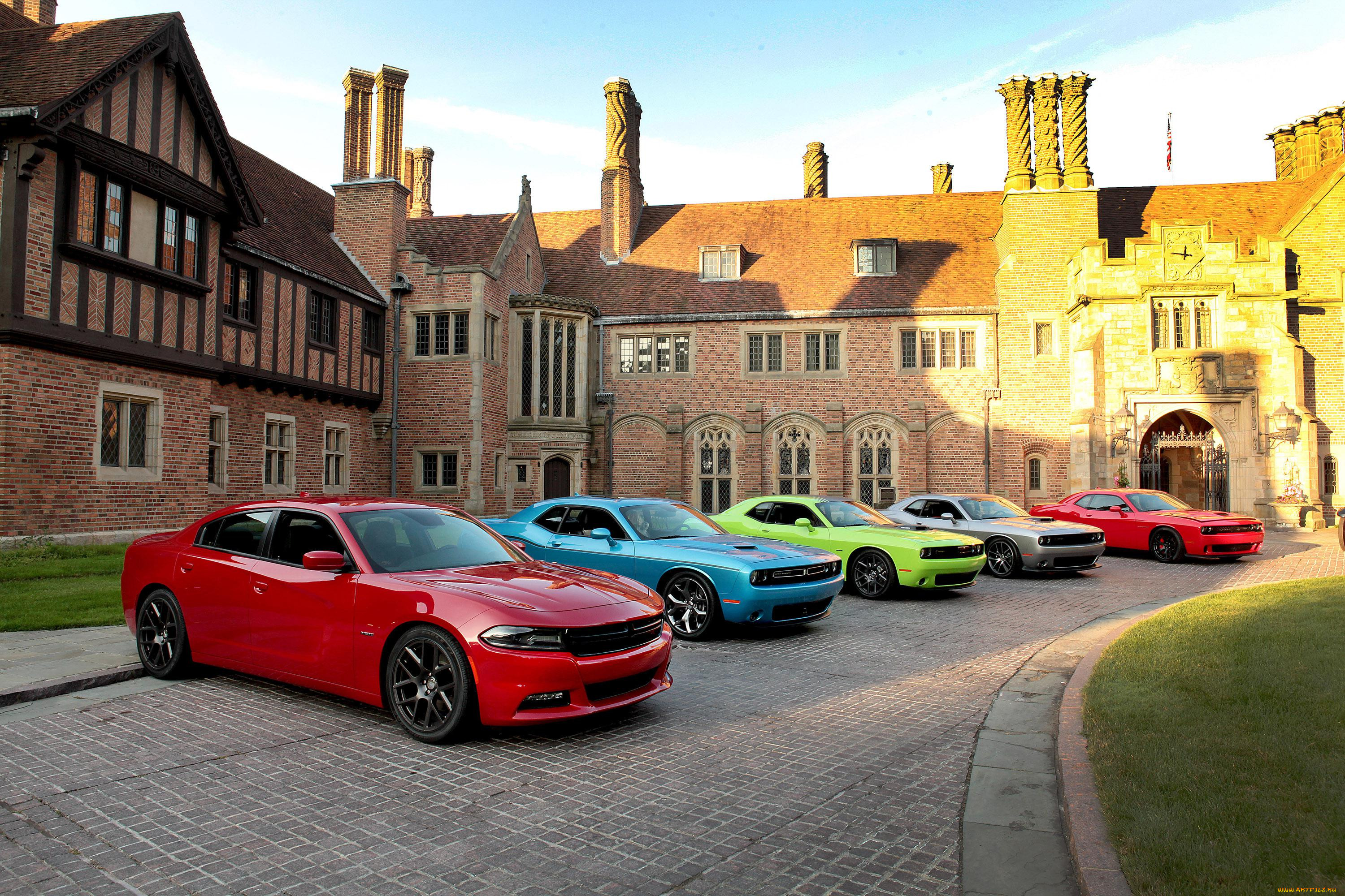 , dodge